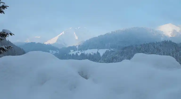 Cottage in Abondance