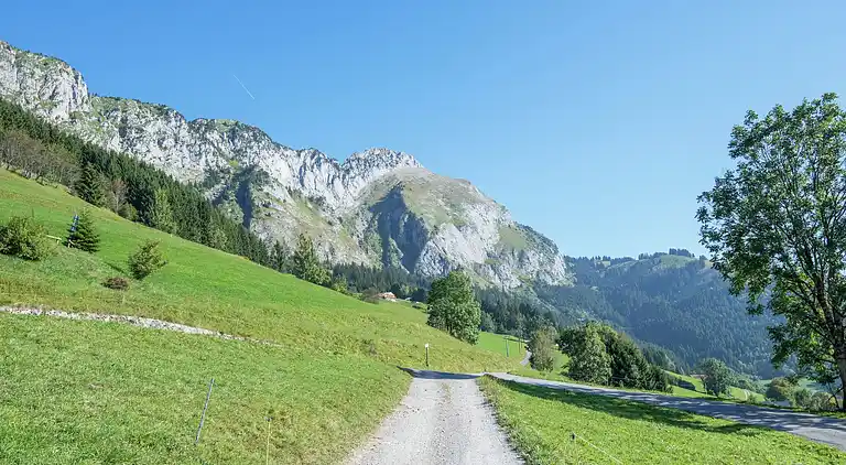 Cottage in Abondance