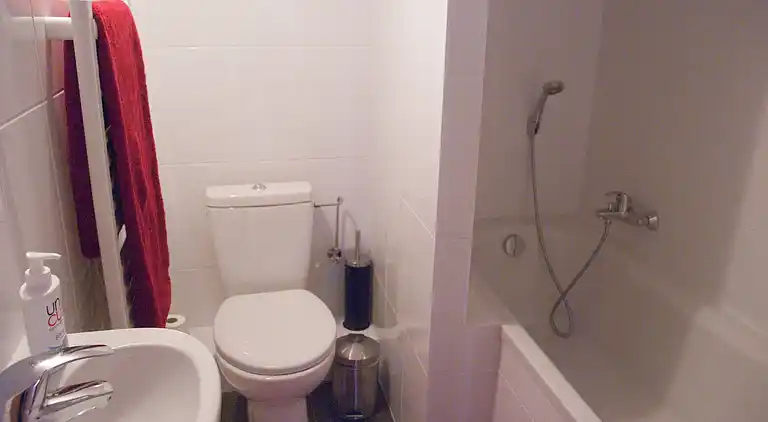 Cottage in Abondance