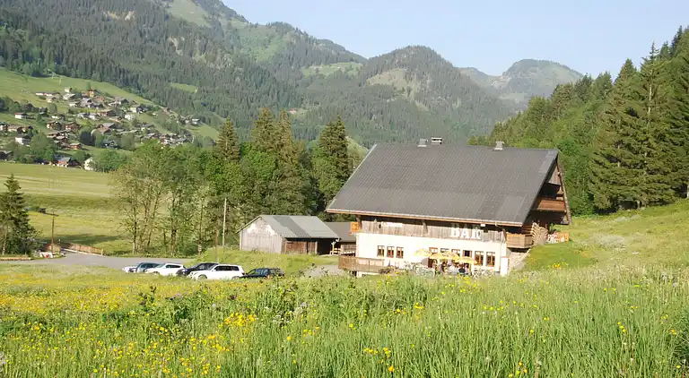 Cottage in Abondance