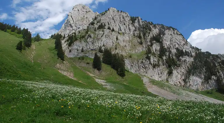 Cottage in Abondance