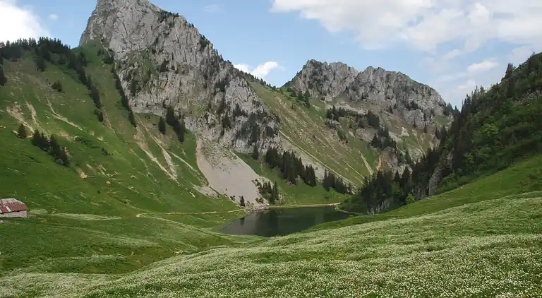 Cottage in Abondance