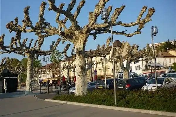 Cottage in Saint-Jean-d'Aulps