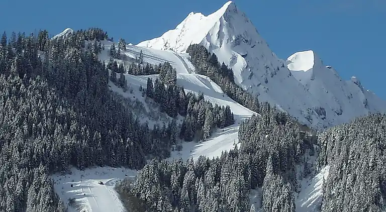 Hytte i Saint-Jean-d'Aulps