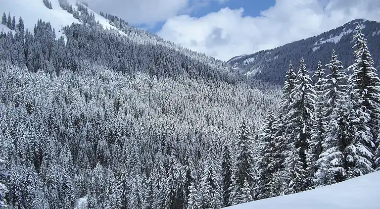 Hytte i Saint-Jean-d'Aulps