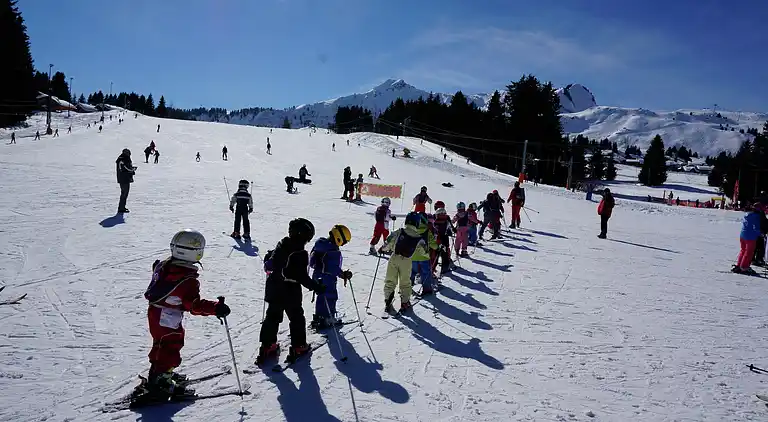 Holiday home in Taninges