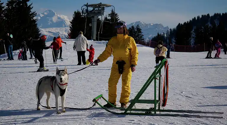 Holiday home in Taninges