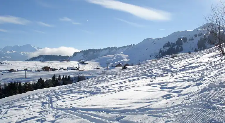 Holiday home in Taninges