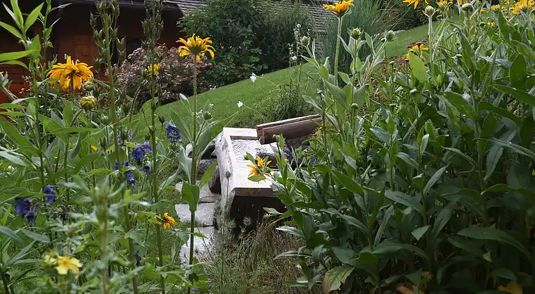 Hytte i Le Grand-Bornand