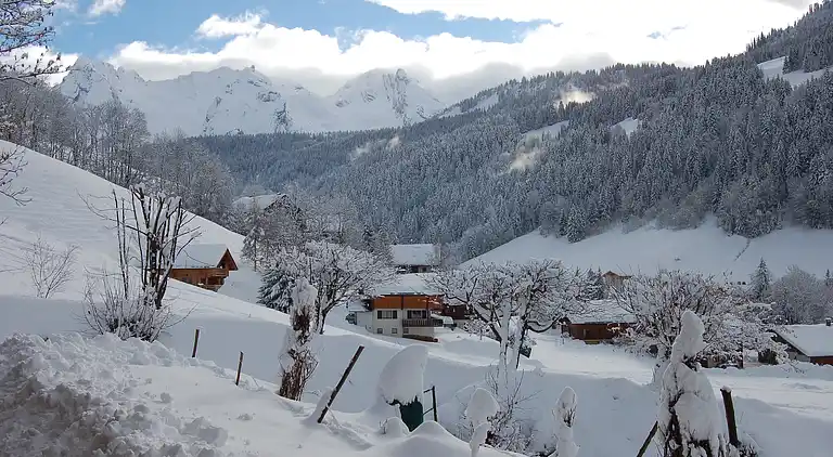 Hytte i Le Grand-Bornand