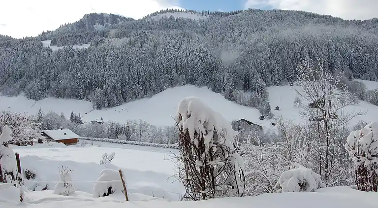 Hytte i Le Grand-Bornand