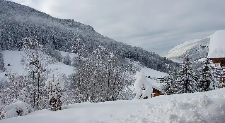 Hytte i Le Grand-Bornand