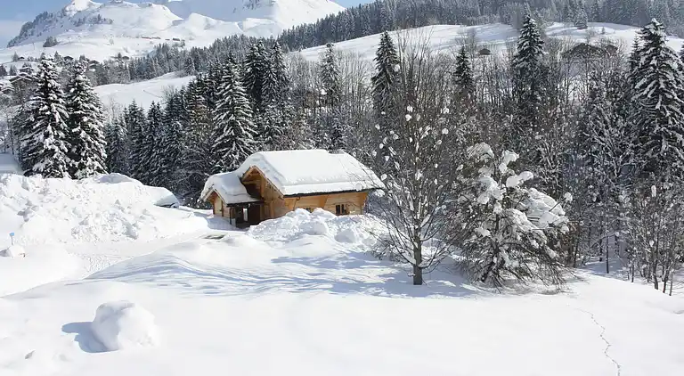 Chalet au Le Grand-Bornand