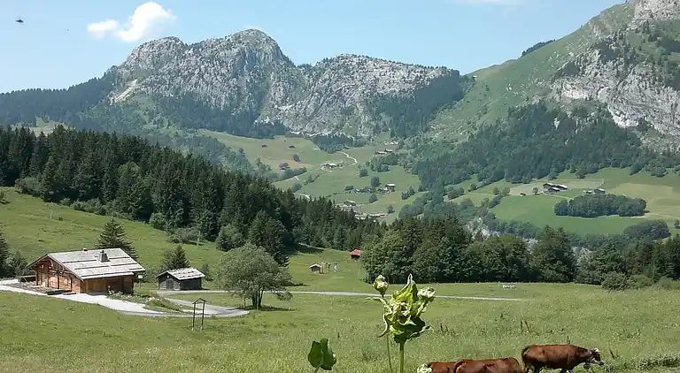 Chalet au Le Grand-Bornand