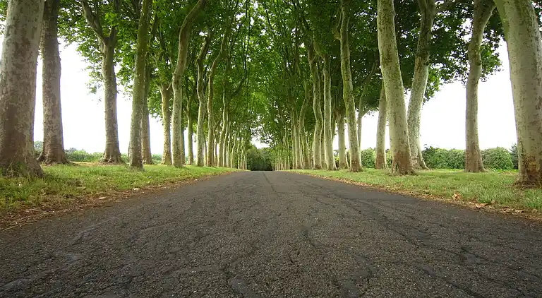 Castle in Lizy-sur-Ourcq