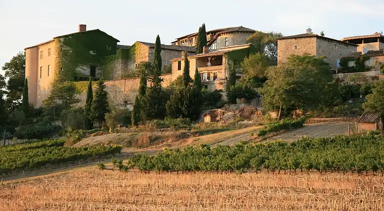 Cottage in Marssac-sur-Tarn