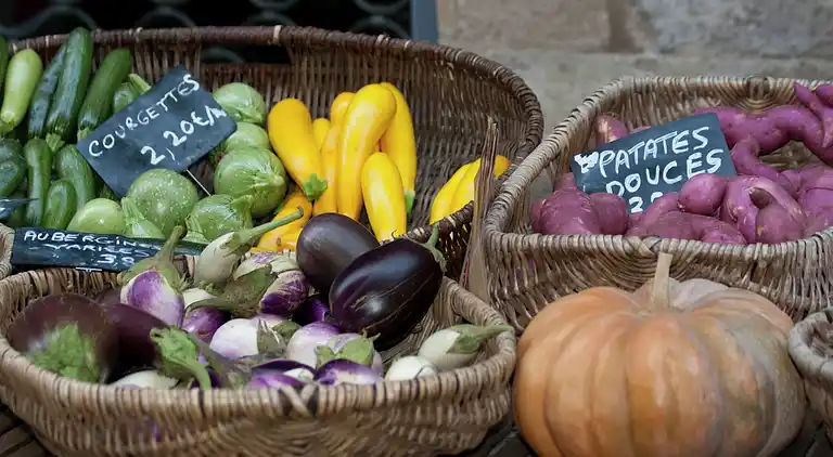 Cottage in Marssac-sur-Tarn