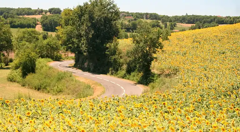 Cottage in Marssac-sur-Tarn