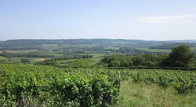 Manor house in Verdun-sur-Garonne