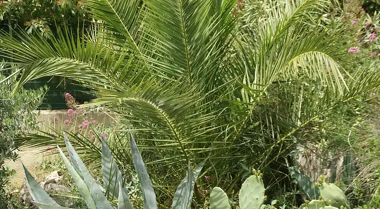 Villa in Le Revest-les-Eaux