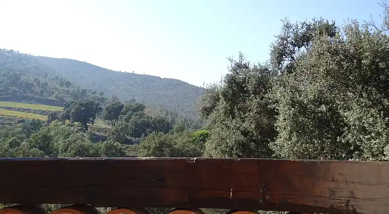 Sommerhus i Le Plan-de-la-Tour