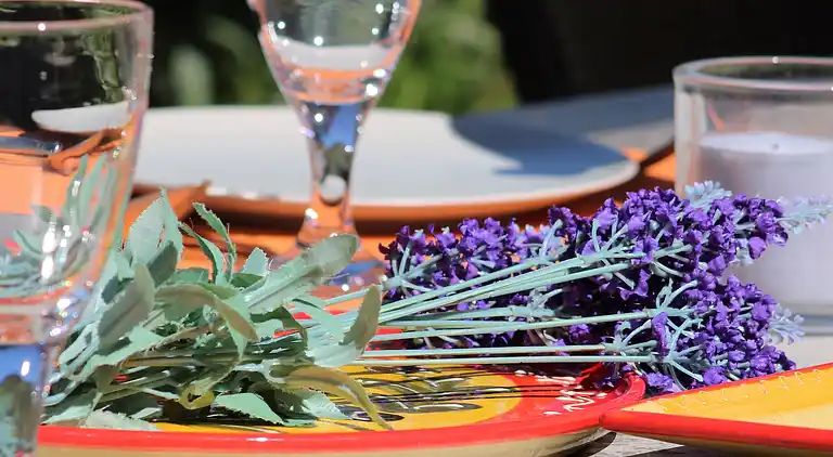 Sommerhus i Le Plan-de-la-Tour