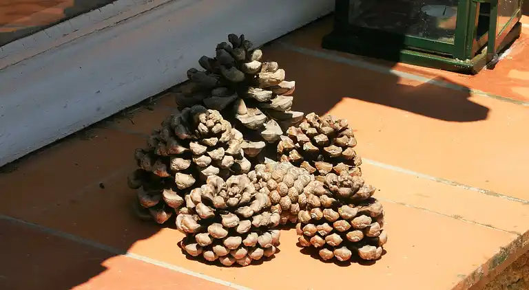 Feriebolig i Le Plan-de-la-Tour