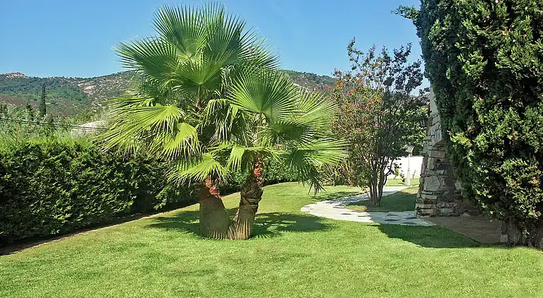 Villa in Le Plan-de-la-Tour