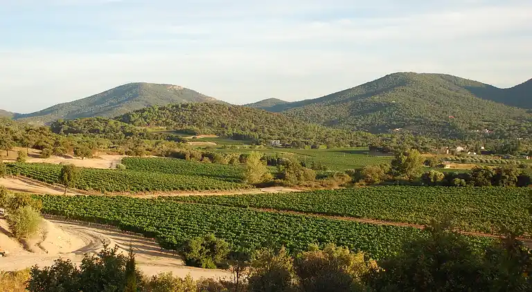 Sommerhus i Le Plan-de-la-Tour