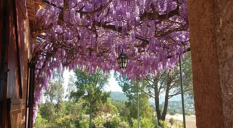 Sommerhus i Le Plan-de-la-Tour