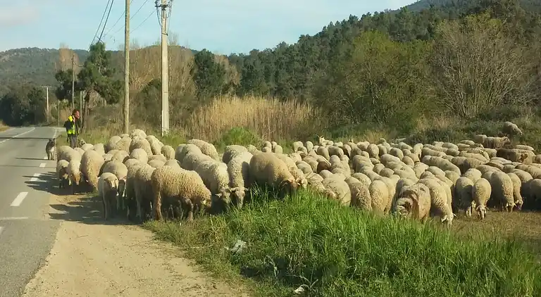 Sommerhus i Le Plan-de-la-Tour