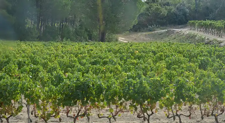 Vakantiehuis in Le Plan-de-la-Tour