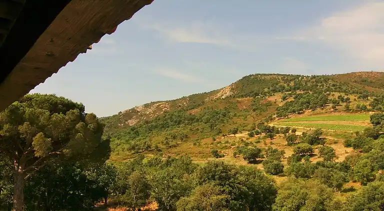 Villa in Le Plan-de-la-Tour