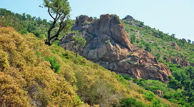 Villa in Le Plan-de-la-Tour