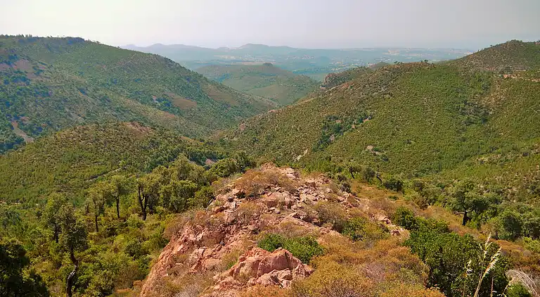 Villa in Le Plan-de-la-Tour