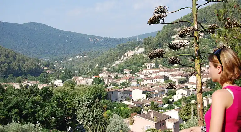 Cottage in Solliès-Pont