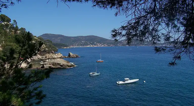 Cottage in Solliès-Pont