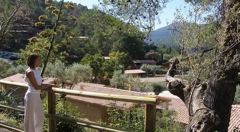 Hytte i Solliès-Pont