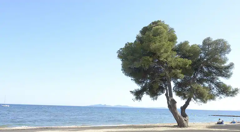 Villa i La Londe-les-Maures