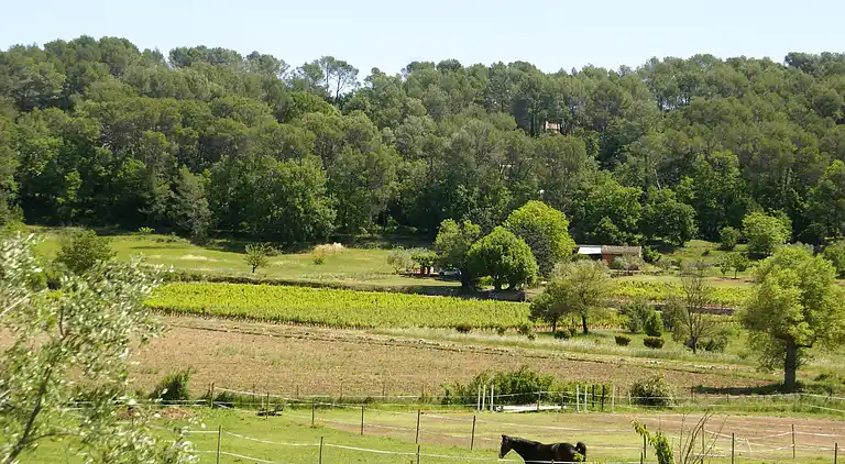 Villa in Saint-Antonin-du-Var