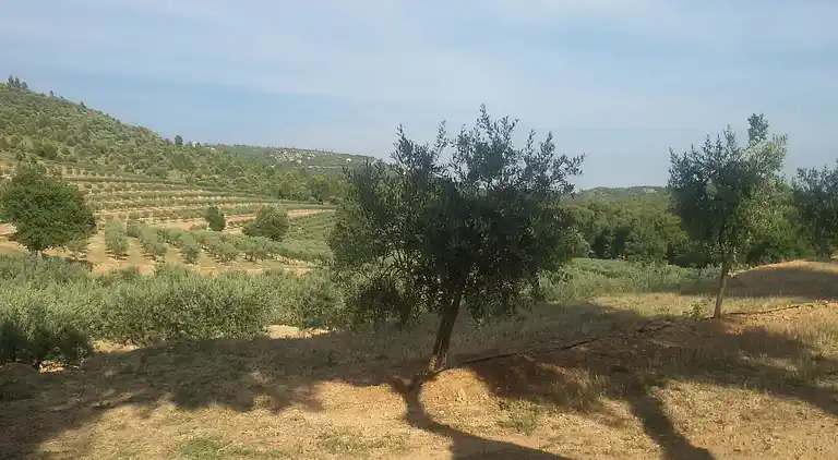 Holiday home in Saint-Antonin-du-Var