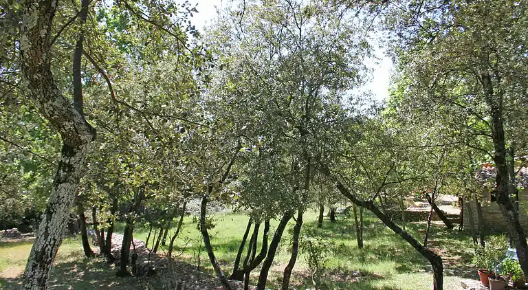 Holiday home in Entrecasteaux
