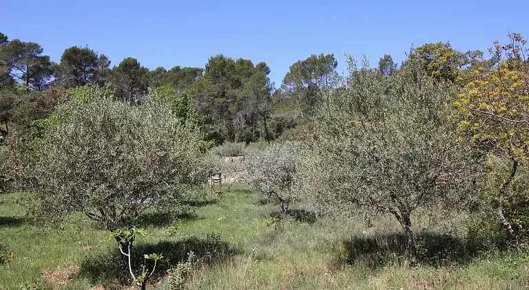 Holiday home in Entrecasteaux