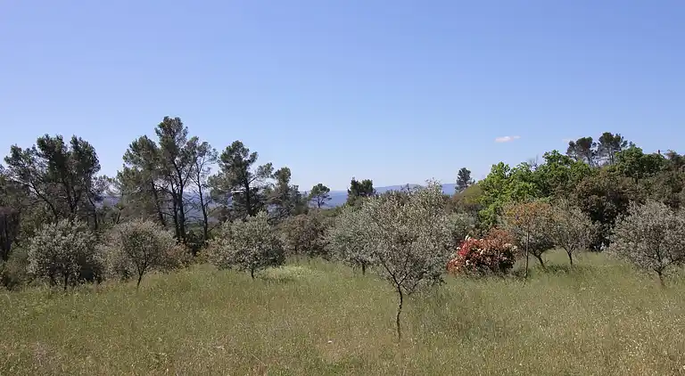 Holiday home in Entrecasteaux