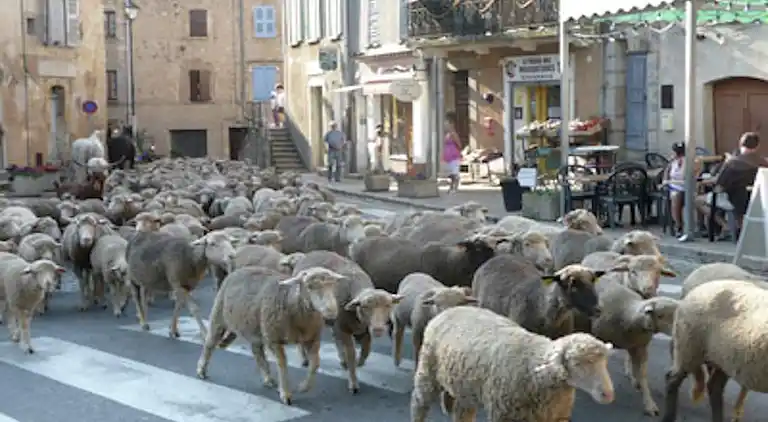 Holiday home in Entrecasteaux