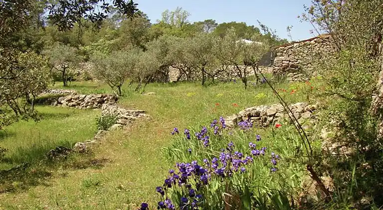 Holiday home in Carcès