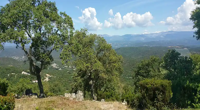 Holiday home in Fréjus