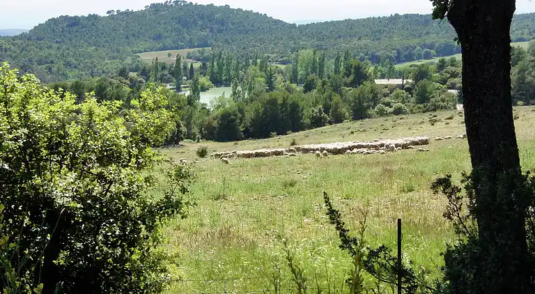 Holiday home in Villecroze