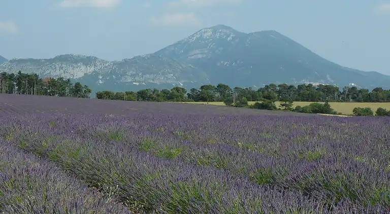 Sommerhus i Villecroze