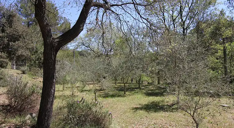 Vakantiehuis in Flayosc